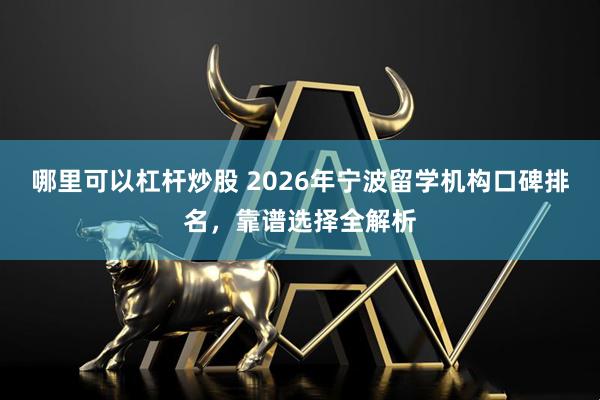 哪里可以杠杆炒股 2026年宁波留学机构口碑排名，靠谱选择全解析