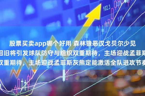 股票买卖app哪个好用 森林狼恶汉戈贝尔少见喊话队友李凯尔，刚签回旧将引发球队防守与组织双重期待，主场迎战孟菲斯灰熊定能激活全队进攻节奏